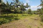 0.25 ac Land in Vipingo - 2