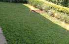 4 Bed Townhouse with En Suite in Kilimani - 16
