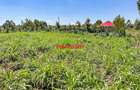 0.125 ac Residential Land at Kamangu - 3