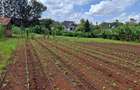 0.5 ac Residential Land in Karen - 2