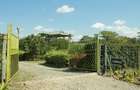 4 Bed House with En Suite at Kinja ( Oloiden - Naivasha ) - 8