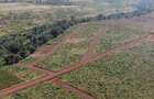 0.5 ac Commercial Land in Juja - 1