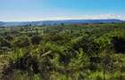 Land at Kwale - 5
