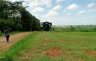 Residential Land in Runda - 8