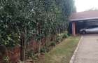 4 Bed House in Karen - 1