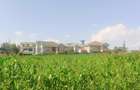 1,000 m² Residential Land at Riu-Nderi - 14