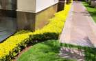 5 Bed Villa with En Suite in Lavington - 20