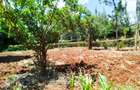 Land in Kiambu Road - 2