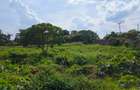 20 ac Land at Muthaiga North Road - 8