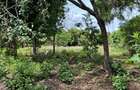 8,093.72 m² Land at Diani 3Rd Row Beach - 6