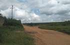 Land in Vipingo - 7