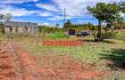 0.05 ha Residential Land at Nachu - 4