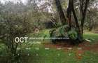 3 Bed House with En Suite at Njumbi Road - 4