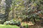 Residential Land at Kyuna - 5