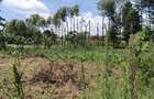 0.125 ac Residential Land at Ruaka - Banana - Kiambaa - 3