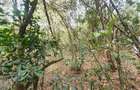 4 ac Land at Mbagathi Ridge - 3