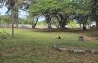 Commercial Land at Mt Kenya - 3