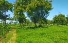 Land in Kilifi County - 2