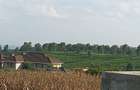 1 ac Land in Tigoni - 1