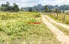 0.05 ha Land in Limuru - 13