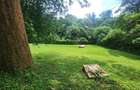 1.5 ac Land at Laikipia Road - 8