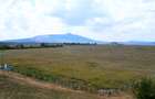 Residential Land in Naivasha - 9