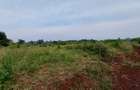 Residential Land at Kirawa Road - 4