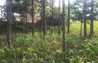 0.113 ac Commercial Land in Ongata Rongai - 20