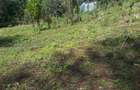 0.25 ac Residential Land in Ngong - 16