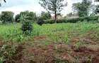 Land at Mimosa Road - 2