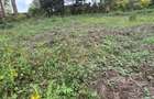 0.25 ac Land in Ruaka - 8
