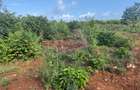 6 ac Land in Kilifi - 8