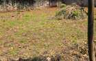 0.25 ac Land at Nyati Drive - 1