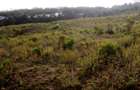 1 ac Land at Mai Mahiu - 7