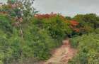 Land in Vipingo - 4