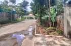 5 Bed House with En Suite at Nyari Estate - 19