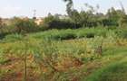 0.25 ac Land at Gikambura - 10