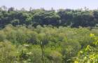Land in Kilifi County - 12