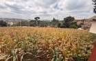 0.5 ac Land at Half Acre Commercial Land - 5