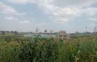 Residential Land at Kiora Estate - 6