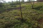 0.25 ac Commercial Land in Ongata Rongai - 12