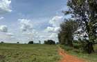 10 ac Land at Glory Road - 6