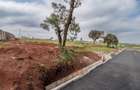 Land at Limuru Road - 12