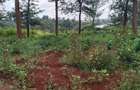 0.046 ha Land in Tatu City - 16