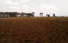 Land at Timau - 13