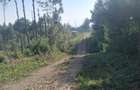 2.5 ac Land at Village (Mbiriri Muthaiga) - 12
