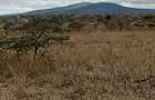 50 ac Land in Konza City - 10