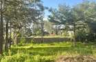 Residential Land at Kandisi - 4