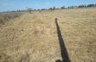 5 ac Land in Kiserian - 2