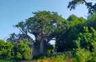 Land in Vipingo - 6